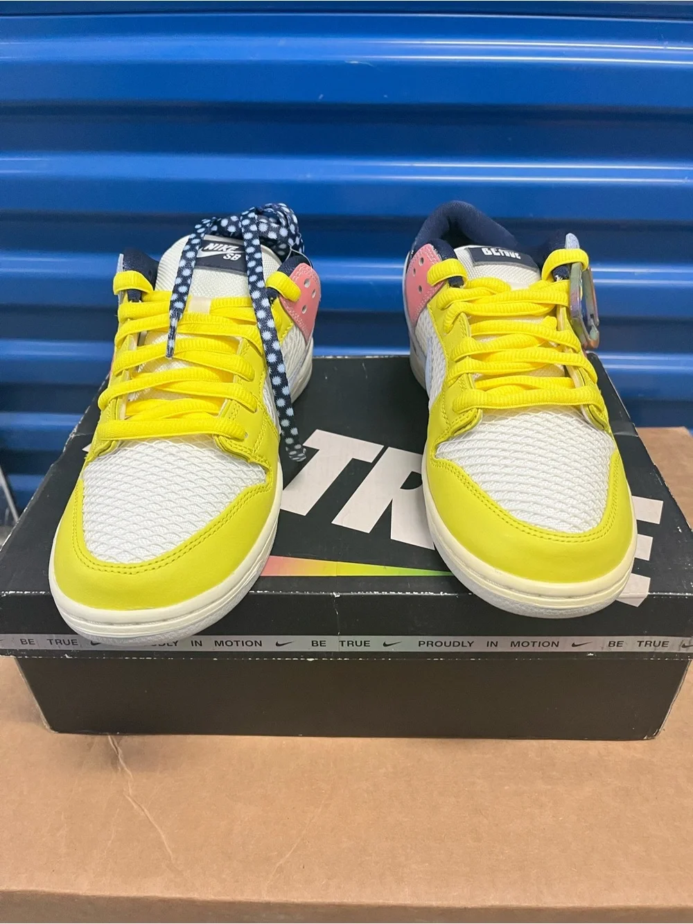 Nike SB Dunk Low Pro Be True Xavier Schipani DX5933-900 Size 8.5 Men Size 10 Wom
